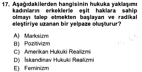 Uluslararası Hukuk 1 2024-2025 Ara Sınav - 17. soru