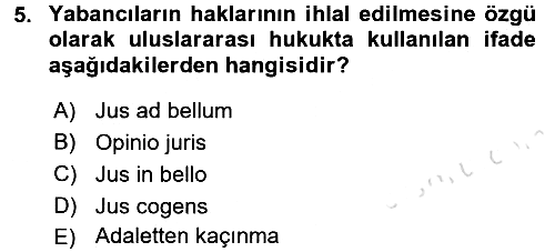 Uluslararası Hukuk 2 2016-2017 Dönem Sonu Sınavı - 5. soru