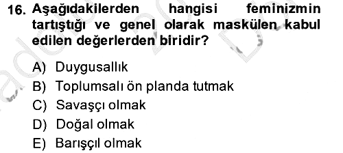Uluslararası İlişkiler Kuramları 2 2014-2015 Dönem Sonu Sınavı - 16. soru