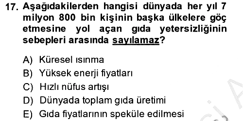 Uluslararası Politik Ekonomi 2013-2014 Dönem Sonu Sınavı - 17. soru