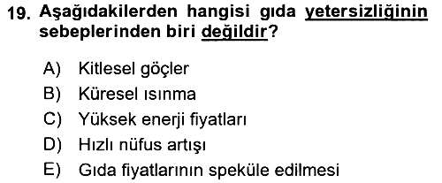 Uluslararası Politik Ekonomi 2015-2016 Dönem Sonu Sınavı - 19. soru