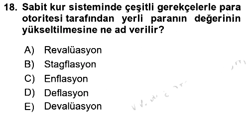Uluslararası Politik Ekonomi 2021-2022 Yaz Okulu Sınavı - 18. soru
