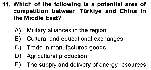 Global South And Emerging Powers 2024-2025 Ara Sınav - 11. soru