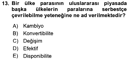 Dış Ticaret İşlemleri ve Belgeleri 2016-2017 3 Ders Sınavı - 13. soru