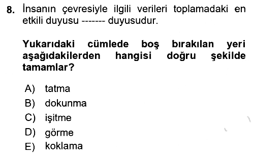 Görsel Web Tasarımı 2021-2022 Yaz Okulu Sınavı - 8. soru