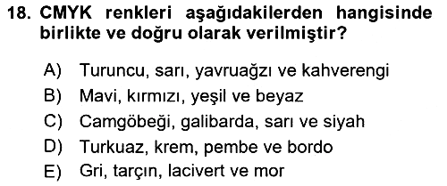 Web Grafik Tasarımı 2018-2019 Dönem Sonu Sınavı - 18. soru
