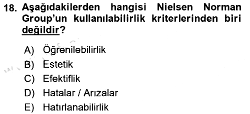 Web Grafik Tasarımı 2024-2025 Dönem Sonu Sınavı - 18. soru