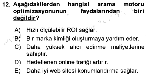 Web Tasarımı Satış ve Pazarlama 2025-2026 Dönem Sonu Sınavı - 12. soru