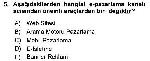 Web Tasarımı Satış ve Pazarlama 2024-2025 Yaz Okulu Sınavı - 5. soru