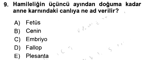 Bakım Elemanı Yetiştirme Ve Geliştirme 2 2018-2019 3 Ders Sınavı - 9. soru