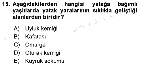 Evde Yaşlı Bakım Hizmetleri 2023-2024 Ara Sınav - 15. soru