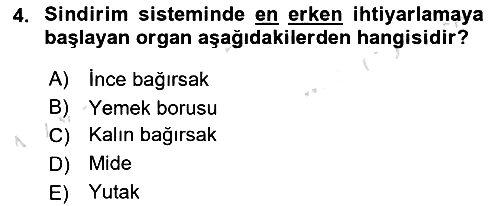 Fiziksel Rehabilitasyon 2025-2026 Ara Sınav - 4. soru