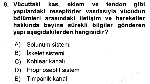 Fiziksel Rehabilitasyon 2023-2024 Dönem Sonu Sınavı - 9. soru