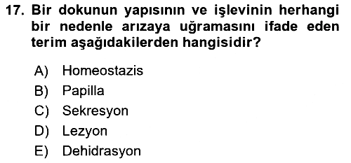 Fiziksel Rehabilitasyon 2024-2025 Yaz Okulu Sınavı - 17. soru