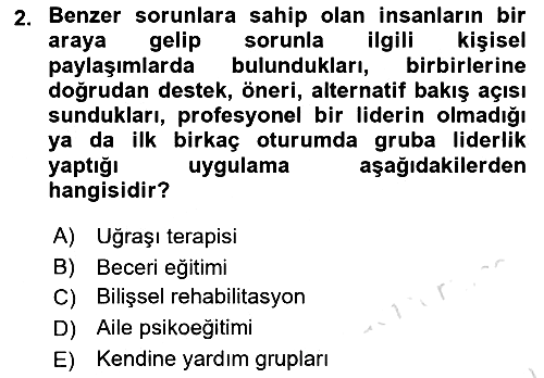 Psiko-Sosyal Rehabilitasyon 2023-2024 Ara Sınav - 2. soru