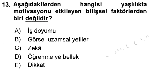 Psiko-Sosyal Rehabilitasyon 2021-2022 Yaz Okulu Sınavı - 13. soru