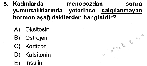 Temel Gerontoloji 2016-2017 3 Ders Sınavı - 5. soru