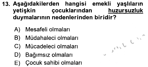 Yaşlı Psikolojisi 2016-2017 3 Ders Sınavı - 13. soru