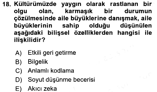 Yaşlı Psikolojisi 2017-2018 3 Ders Sınavı - 18. soru