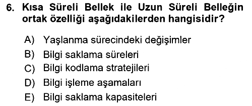 Yaşlı Psikolojisi 2018-2019 Dönem Sonu Sınavı - 6. soru