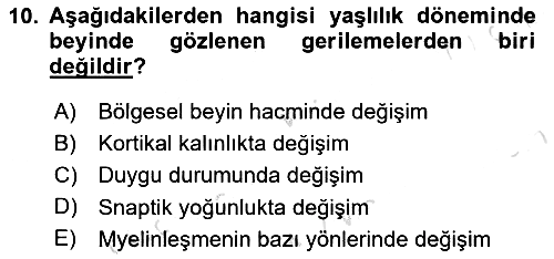 Yaşlı Psikolojisi 2023-2024 Dönem Sonu Sınavı - 10. soru