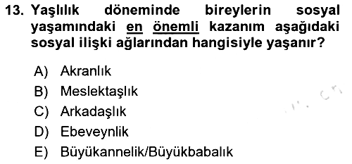 Yaşlı Psikolojisi 2025-2026 Dönem Sonu Sınavı - 13. soru