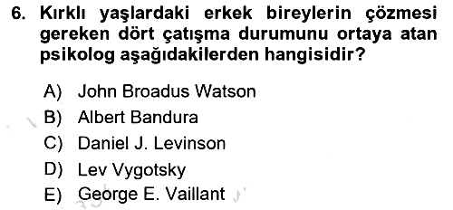 Yaşlı Psikolojisi 2020-2021 Yaz Okulu Sınavı - 6. soru