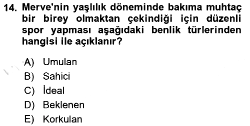 Yaşlı Psikolojisi 2021-2022 Yaz Okulu Sınavı - 14. soru
