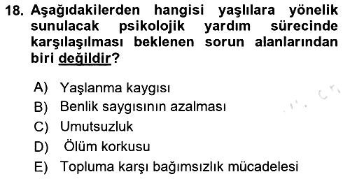 Yaşlı Psikolojisi 2024-2025 Yaz Okulu Sınavı - 18. soru