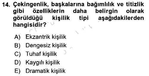 Yaşlılarda Davranış Sorunları Ve Uyum 2023-2024 Dönem Sonu Sınavı - 14. soru