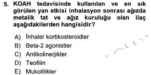 Yaşlılarda Görülebilecek Sorunlar Ve Bakım Hizmetleri 2016-2017 3 Ders Sınavı - 5. soru