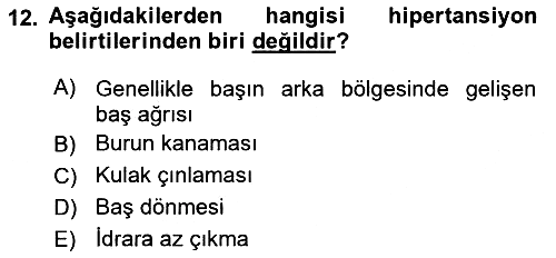 Yaşlılarda Görülebilecek Sorunlar Ve Bakım Hizmetleri 2018-2019 Ara Sınav - 12. soru