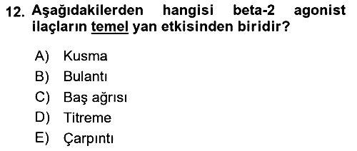 Yaşlılarda Görülebilecek Sorunlar Ve Bakım Hizmetleri 2025-2026 Dönem Sonu Sınavı - 12. soru
