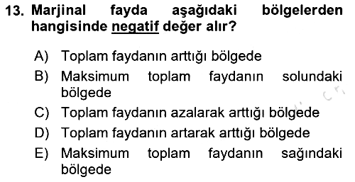 Genel Ekonomi 2024-2025 Ara Sınav - 13. soru