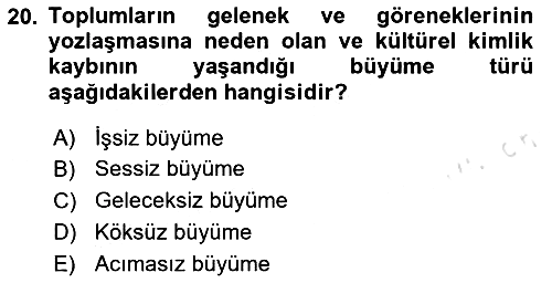 Genel Ekonomi 2024-2025 Yaz Okulu Sınavı - 20. soru
