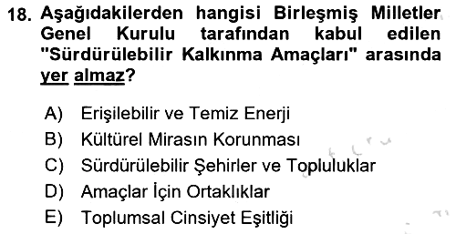 Yerel Ekonomik Kalkınma 2023-2024 Dönem Sonu Sınavı - 18. soru