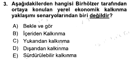 Yerel Ekonomik Kalkınma 2023-2024 Yaz Okulu Sınavı - 3. soru
