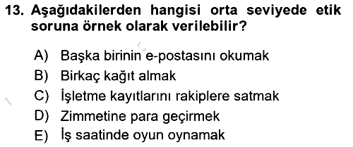 Bilişim Sistemleri 2022-2023 Ara Sınav - 13. soru