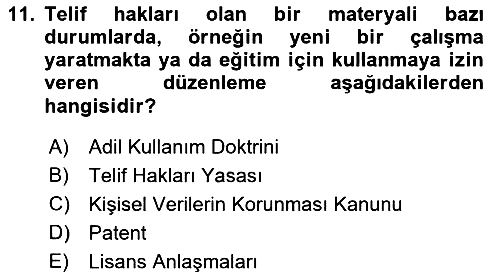 Bilişim Sistemleri 2023-2024 Ara Sınav - 11. soru
