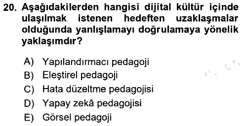 Dijital Dönüşüm 2024-2025 Ara Sınav - 20. soru