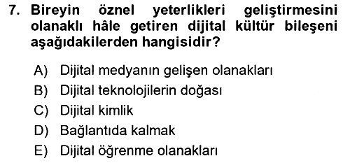 Dijital Dönüşüm 2024-2025 Dönem Sonu Sınavı - 7. soru