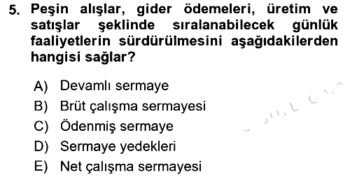 Finansal Tablolar 2016-2017 Dönem Sonu Sınavı - 5. soru