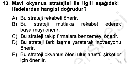 Girişimcilik ve İş Kurma 2012-2013 Ara Sınav - 13. soru