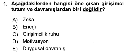 Girişimcilik ve İş Kurma 2018-2019 Dönem Sonu Sınavı - 1. soru