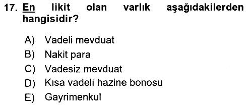 İktisada Giriş 2023-2024 Yaz Okulu Sınavı - 17. soru