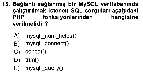 İnternet Ve Web Programlama 2023-2024 Yaz Okulu Sınavı - 15. soru
