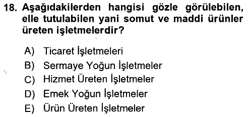İşletme İlkeleri 2023-2024 Ara Sınav - 18. soru