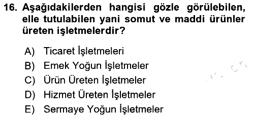 İşletme İlkeleri 2024-2025 Ara Sınav - 16. soru