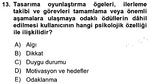 Kullanıcı Deneyimi 2024-2025 Ara Sınav - 13. soru