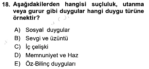Örgütsel Davranış 2024-2025 Ara Sınav - 18. soru